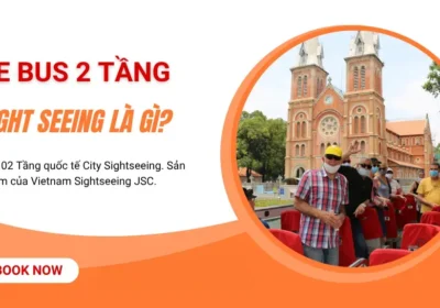Xe Bus 2 Tầng Sightseeing Là Gì? Giải Mã Trải Nghiệm & Mô Hình