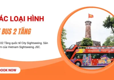 Các Loại Hình Tour Xe Bus 2 Tầng: Hop-on Hop-off, Tour Đêm & City Tour