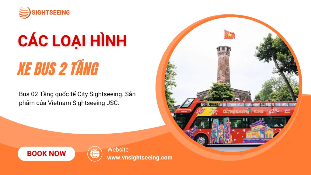 Các Loại Hình Tour Xe Bus 2 Tầng