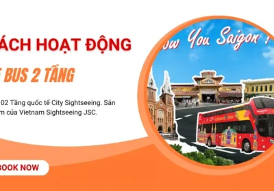 Tổng quan về xe bus 2 tầng: Trải nghiệm City Tour đẳng cấp tại Việt Nam