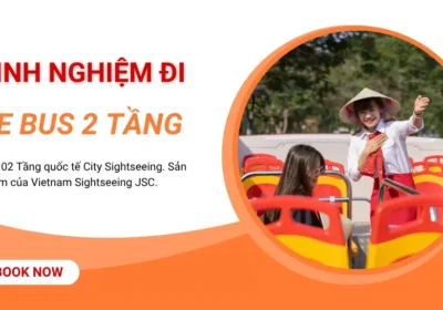 Kinh nghiệm đi xe bus 2 tầng Sightseeing trải nghiệm thú vị