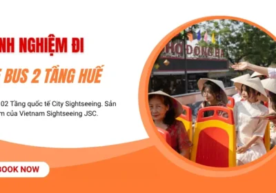 Kinh Nghiệm Đi Xe Bus 2 Tầng Huế: Mẹo Khám Phá Cố Đô Trọn Vẹn