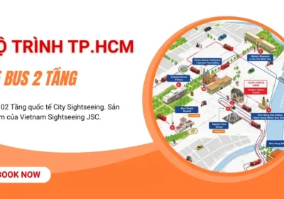 Xe bus 2 tầng Sài Gòn: Review chi tiết lộ trình và trải nghiệm