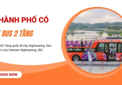 Các Thành Phố Có Xe Bus 2 Tầng Tại Việt Nam bạn đã biết chưa?
