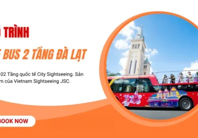 Lộ Trình Xe Bus 2 Tầng Đà Lạt: Hành Trình Lãng Mạn Quanh Hồ Xuân Hương