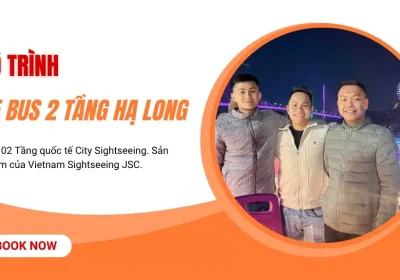 Lộ Trình Xe Bus 2 Tầng Hạ Long Chi Tiết: Ngắm Vịnh Từ Trên Cao