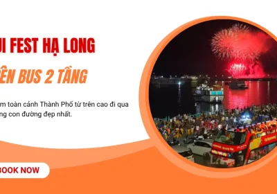 Ngắm Pháo hoa VUI-Fest Hạ Long Đỉnh Nhất Trên Xe Bus 2 Tầng
